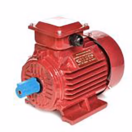 Electric Bike Motor Water Pump Homes Boat Electric Wheelchair Tubular Vibration Dual Scooter Synchronous Stainless Steel Fuerabord Blower Driver